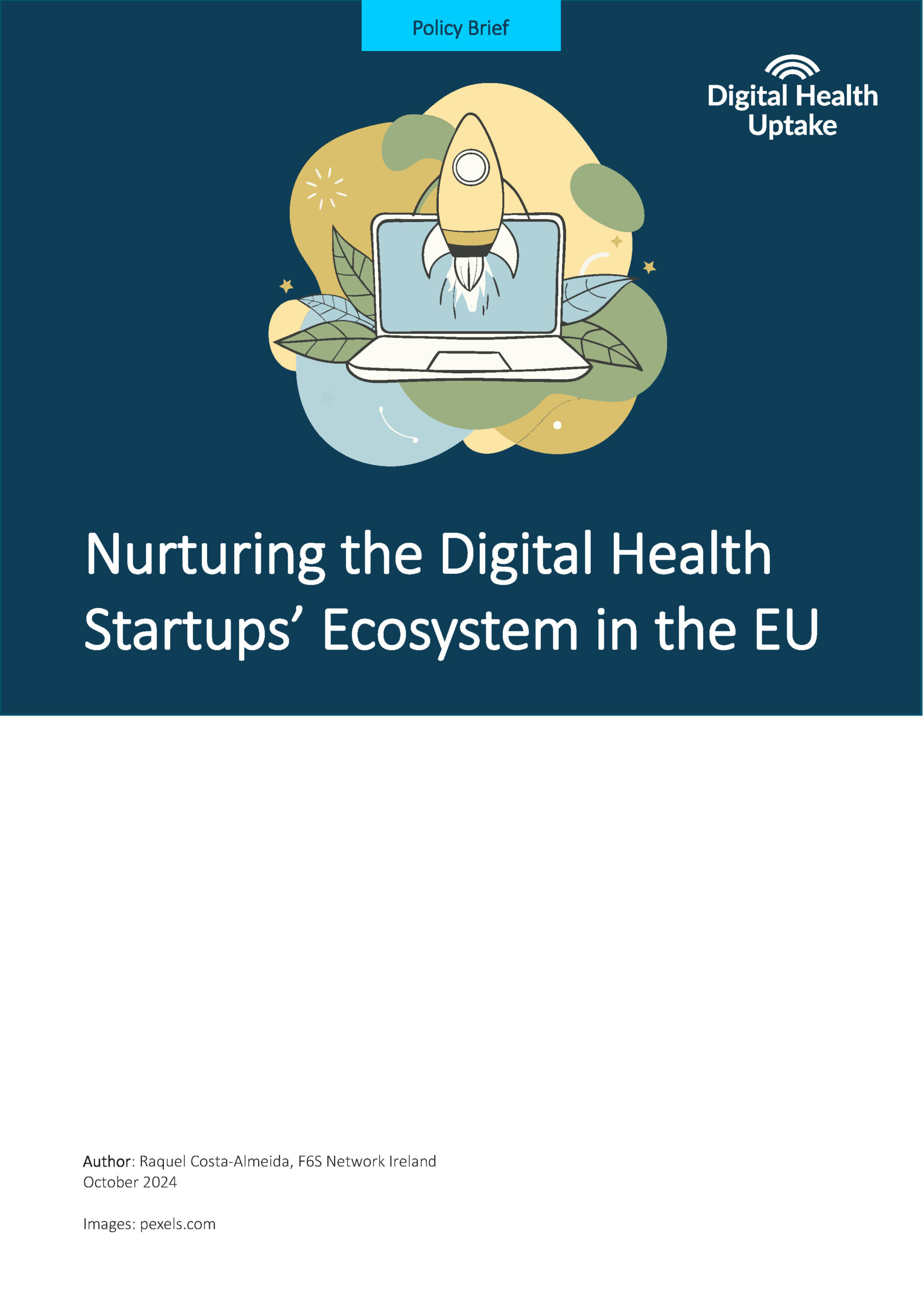 Policy Brief 12 Nurturing Startup Ecosystem cover